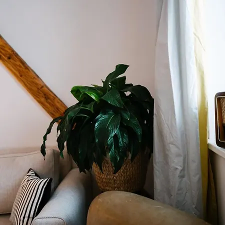 Am Marktplatz Apartment Gerlitzen By Seebnb * Treffen